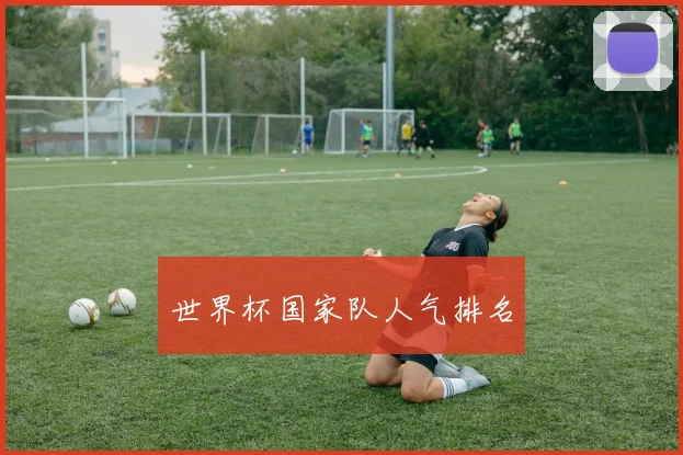 世界杯国家队人气排名