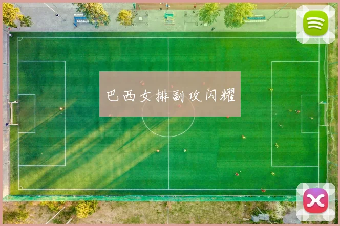 巴西女排副攻闪耀