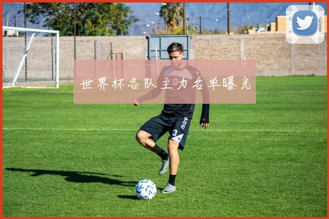 世界杯各队主力名单曝光